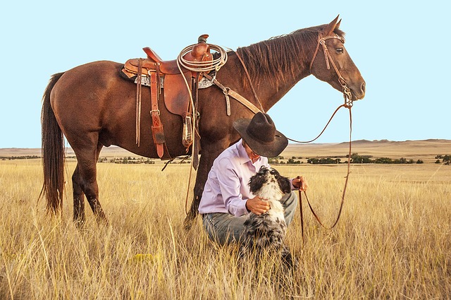 kovboj s koněm a se psem