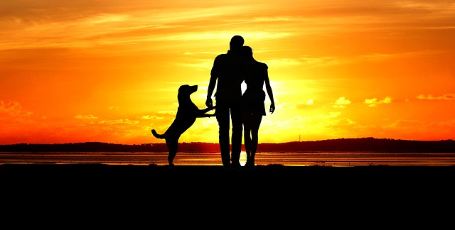 západ slunce a muž, žena i pes